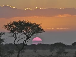 Seronera_and_Lobo2003-016